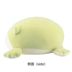 画像2: アクアミエ　ボルスタークッション