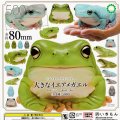 ガチャガチャ 大きなイエアメガエル