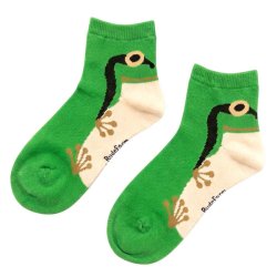 画像1: いきものくつした ニホンアマガエル ソックス