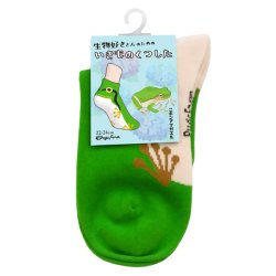 画像4: いきものくつした ニホンアマガエル ソックス