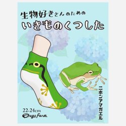 画像5: いきものくつした ニホンアマガエル ソックス
