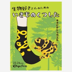 画像5: いきものくつした キオビヤドクガエル ソックス