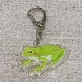 アクリルキーホルダー frog1【P】