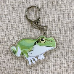 画像1: アクリルキーホルダー frog2【P】