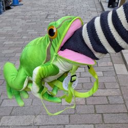 画像6: アマガエル リュック