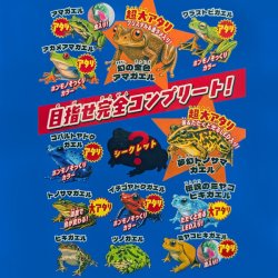 画像2: びよ〜ん！最強リアルカエル