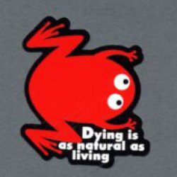 画像1: 諺ステッカー Dying