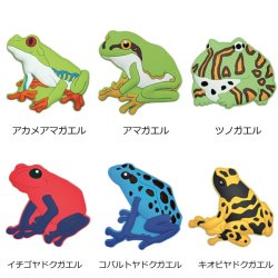 画像2: Frog ラバーマグネット【P】