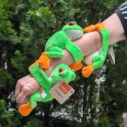 画像2: WR 抱きつき アカメアマガエル