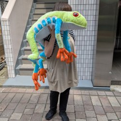 画像2: WR アカメアマガエル ジャンボ