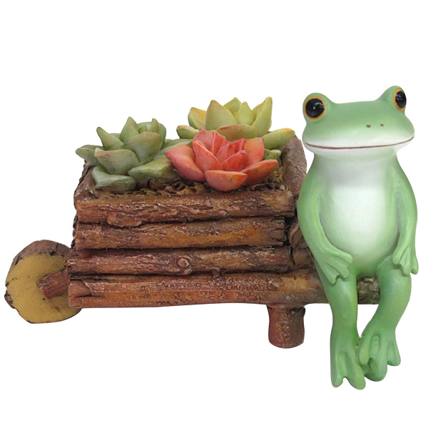 Copeau 多肉植物カーとカエル Frogs カエルグッズ専門店 自由が丘 Copeau 多肉植物カーとカエル Frogs カエルグッズ専門店 自由が丘