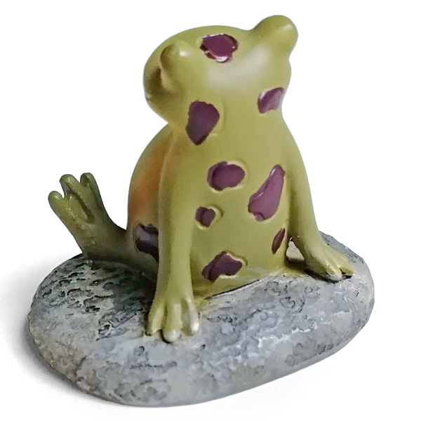 Copeau ウシガエル Frogs カエルグッズ専門店 自由が丘