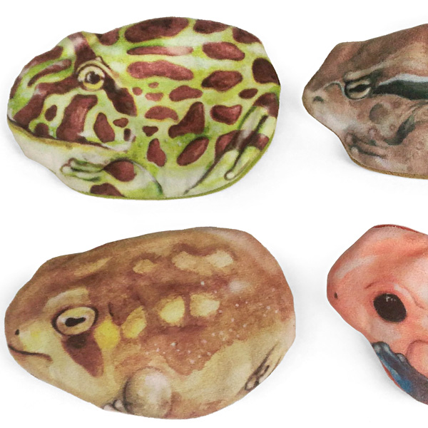 Frog Collection コインパース Frogs カエルグッズ専門店 自由が丘 Frog Collection コインパース Frogs カエルグッズ専門店 自由が丘