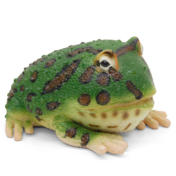 ラテックス ベルツノガエル Frogs カエルグッズ専門店 自由が丘 ラテックス ベルツノガエル Frogs カエルグッズ専門店 自由が丘