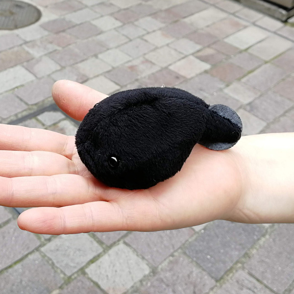 Little Beans オタマジャクシ Frogs カエルグッズ専門店 自由が丘