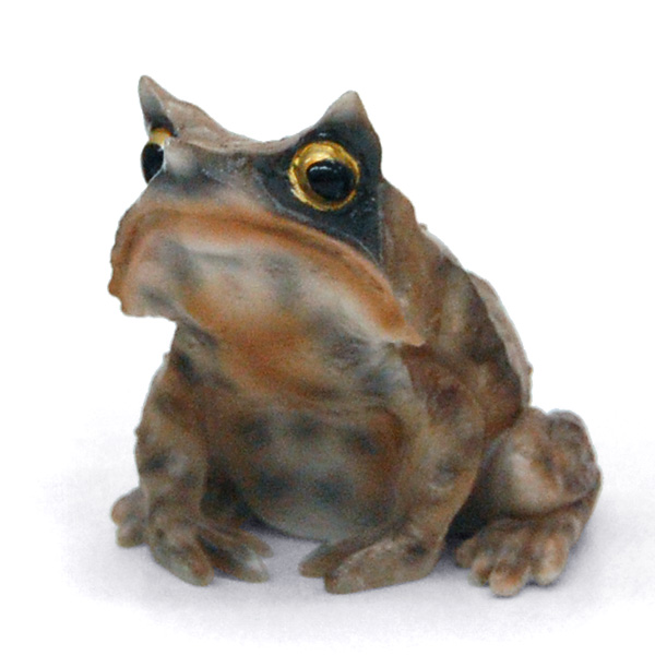Rep マグネット ミツヅノコノハガエル Frogs カエルグッズ専門店 自由が丘 Rep マグネット ミツヅノコノハガエル Frogs カエルグッズ専門店 自由が丘