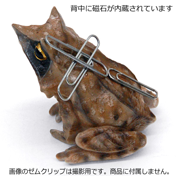 Rep マグネット ミツヅノコノハガエル Frogs カエルグッズ専門店 自由が丘 Rep マグネット ミツヅノコノハガエル Frogs カエルグッズ専門店 自由が丘