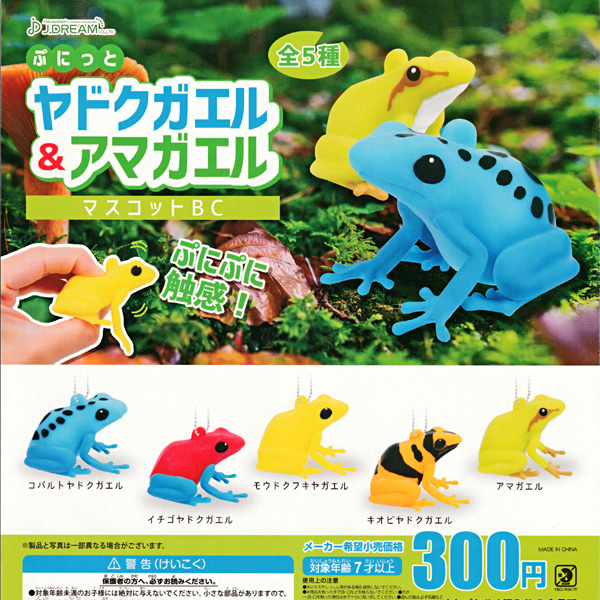 ガチャガチャ ぷにっと ヤドクガエル アマガエル 全５種セット Frogs カエルグッズ専門店 自由が丘