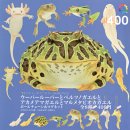 画像: ガチャガチャ新商品「ウーパールーパーとベルツノガエルとアカメアマガエルとマルメタピオカガエル ボールチェーン＆マグネット」