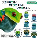 画像: ガチャガチャ 新商品「アカメガエルとヤドクガエルとフクラガエル マスコットボールチェーン」