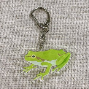 画像: アクリルキーホルダー frog1【P】