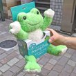 画像4: ピクルス ポージング ベーシック