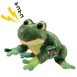 画像: オーロラ パペット カエル