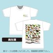 画像2: 両生類大全 Ｔシャツ