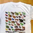 画像1: 両生類大全 Ｔシャツ