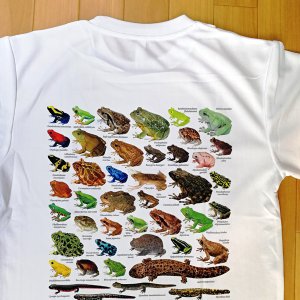 画像: 両生類大全 Ｔシャツ