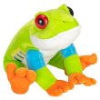 画像1: WR カドルキンズ アカメアマガエル