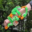 画像2: WR 抱きつき アカメアマガエル