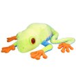 画像1: WR アカメアマガエル ジャンボ