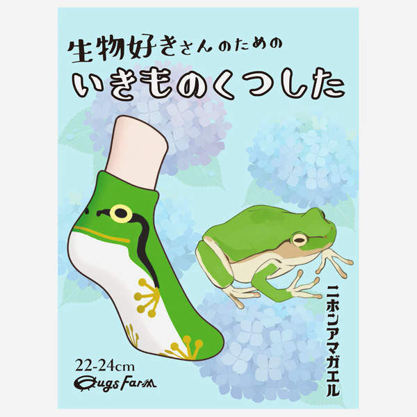 画像5: いきものくつした ニホンアマガエル ソックス