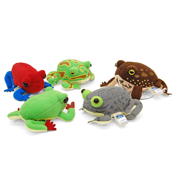 Frogマグネット - FROGS カエルグッズ専門店【自由が丘】