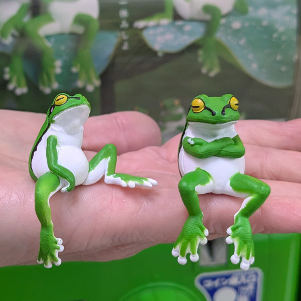 画像3: ガチャガチャ ふちやすみ アマガエル 全５種セット