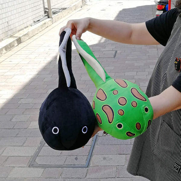 ふわふわオタマジャクシ - FROGS カエルグッズ専門店【自由が丘】