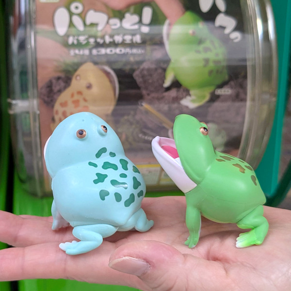 画像3: ガチャガチャ パクっと！バジェットガエル 全４種セット