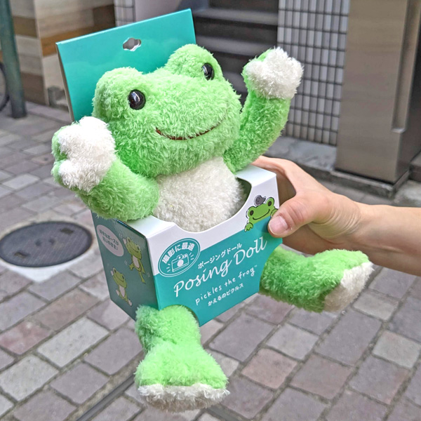 画像4: ピクルス ポージング ベーシック