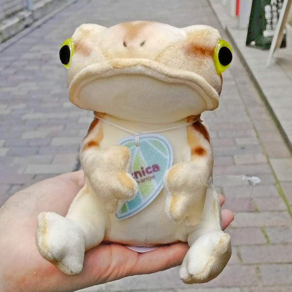 画像3: picnica ぬいぐるみ