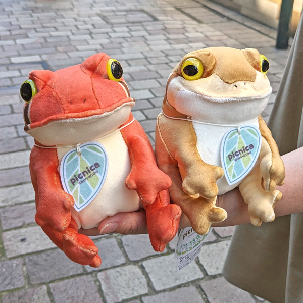 画像6: picnica ぬいぐるみ