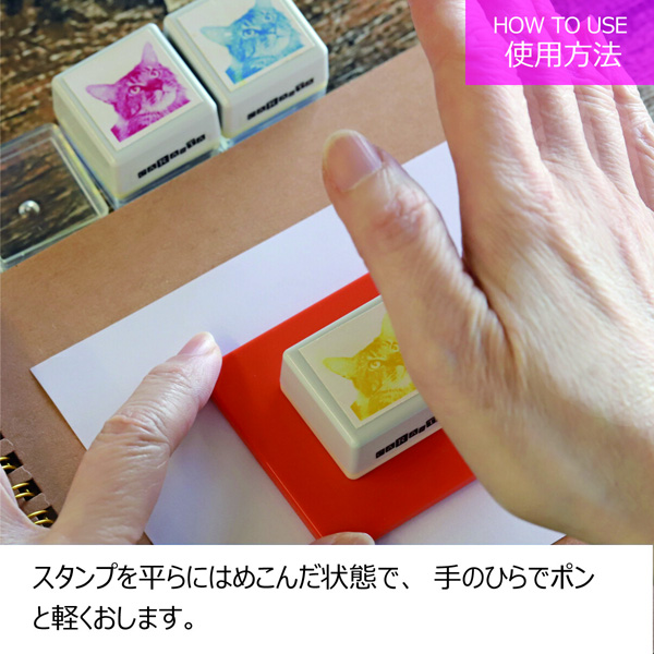 画像6: 重ねおしスタンプ アカメアマガエル
