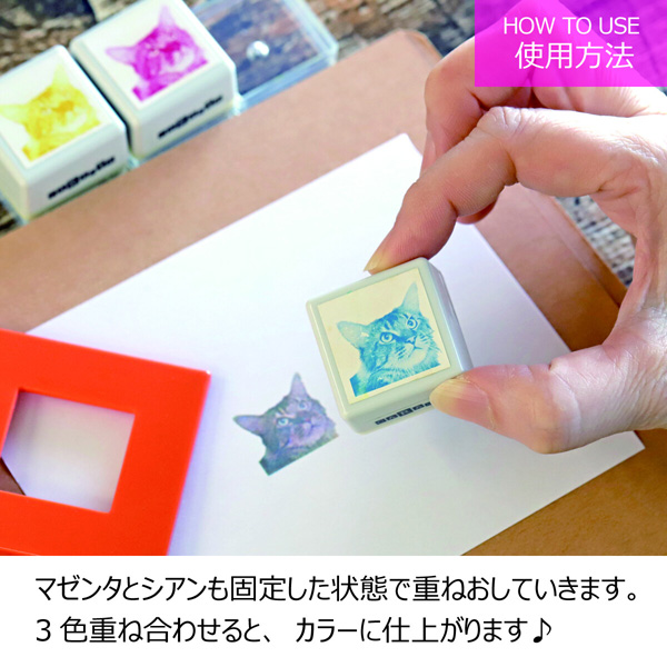 画像7: 重ねおしスタンプ アカメアマガエル