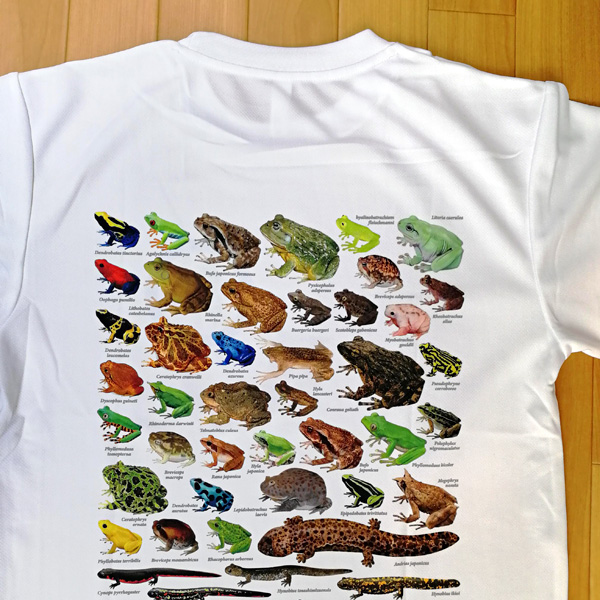 画像1: 両生類大全 Ｔシャツ