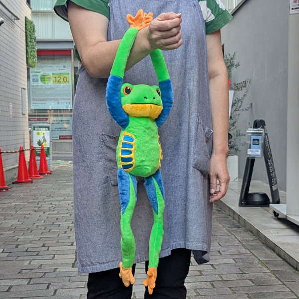画像3: WR ぶらさがりエコ アカメアマガエル
